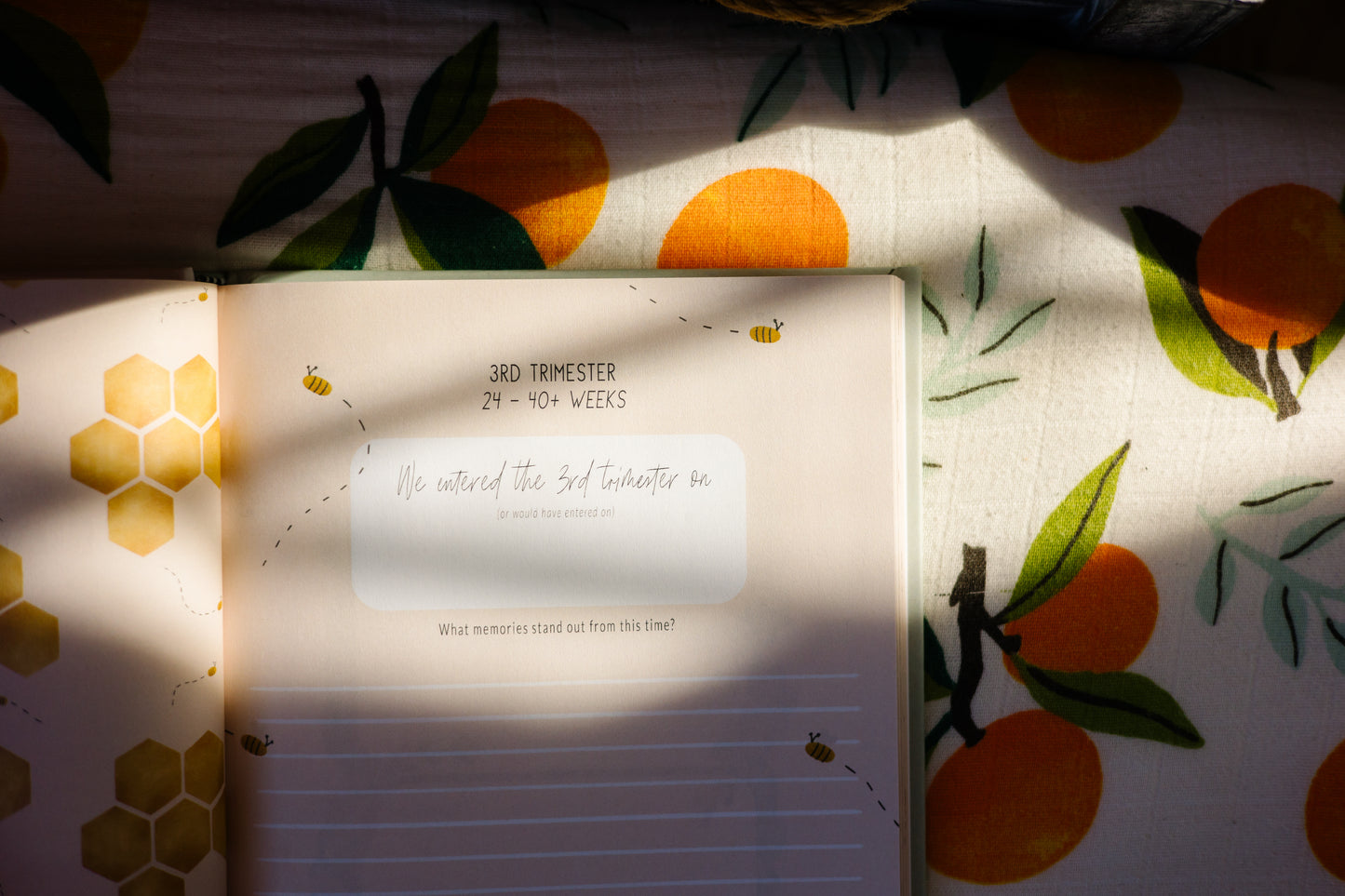 WHOLESALE In Memory of You: Guided Baby Memory Journal | 3 Book Minimum